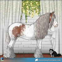 Horse Color:Silver Brown Sabino Splash Tobiano Rabicano