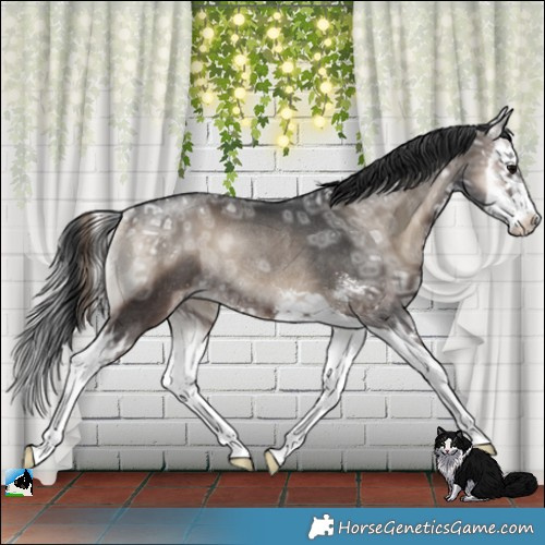 Horse Color:Blue Onyx Ice Mushroom Sabino Splash Rabicano 