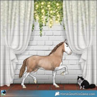 Horse Color:Black Pearl Splash Rabicano 