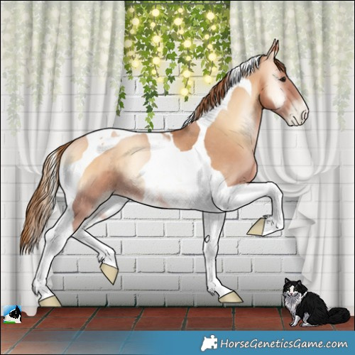 Horse Color:Brown Pearl Onyx Tobiano Rabicano 