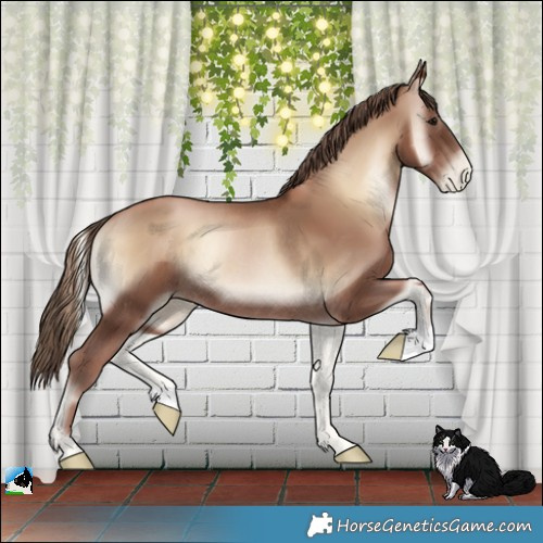 Horse Color:Blue Onyx Pearl Rabicano 