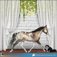 Horse Color:Brown Onyx Blanket Rabicano 
