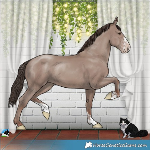 Horse Color:Classic Champagne Mushroom Sabino Rabicano 