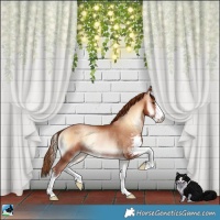 Horse Color:Brown Pearl Onyx Sabino Rabicano 