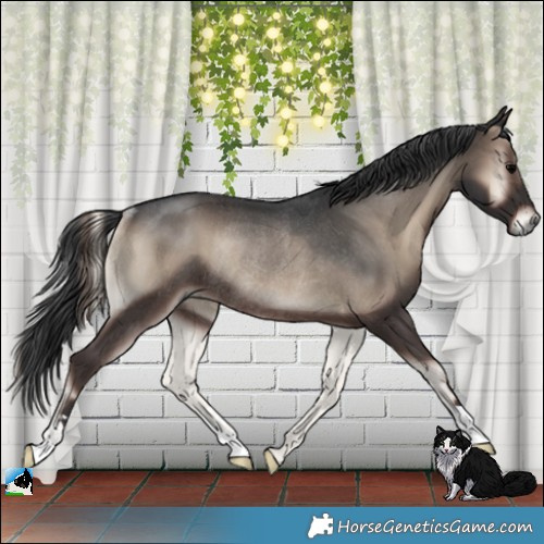 Horse Color:Blue Onyx Rabicano 