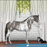 Horse Color:Liver Chestnut Sabino Tobiano Rabicano 