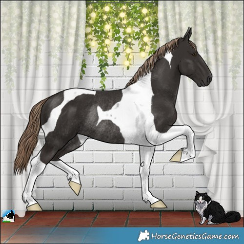 Horse Color:Liver Chestnut Tobiano Rabicano 