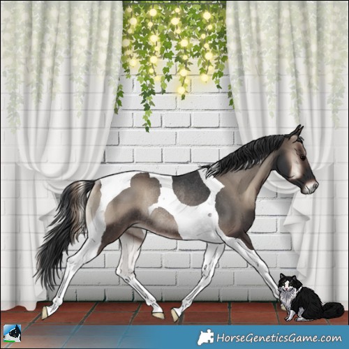 Horse Color:Blue Onyx Tobiano Rabicano 