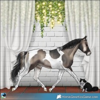 Horse Color:Blue Onyx Tobiano Rabicano 