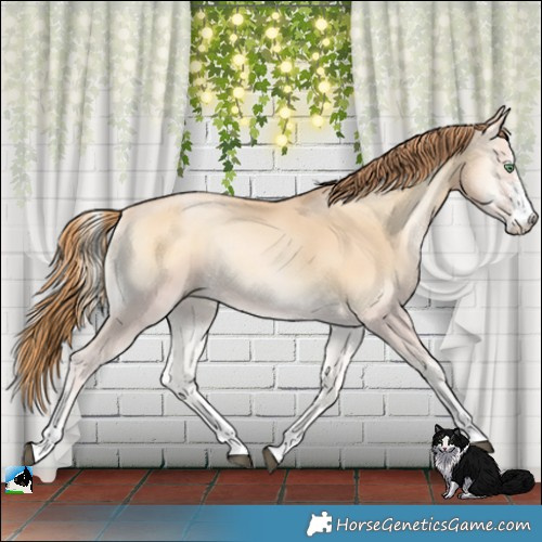 Horse Color:Bay Snowdrop Pearl Onyx Sabino Rabicano 