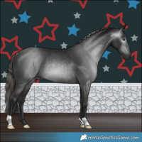 Horse Color:Gray Liver Chestnut Rabicano
