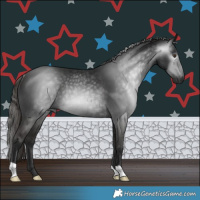 Horse Color:Gray Liver Chestnut Rabicano 