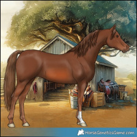 Horse Color:Chestnut 