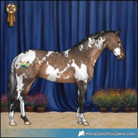 Horse Color:White Spotted Brown Dun 