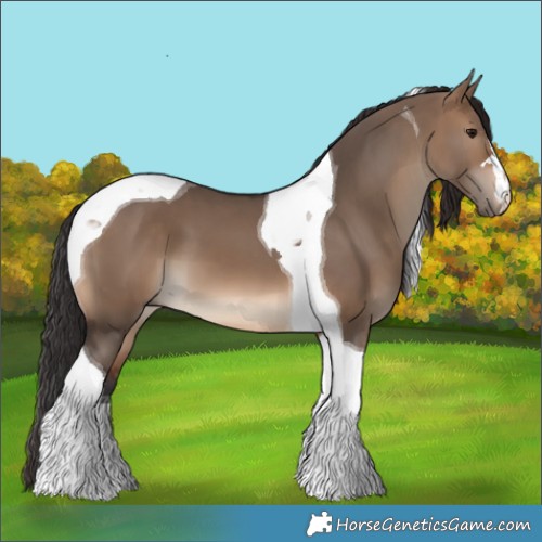 Horse Color:Brown Dun Tobiano 