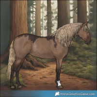 Horse Color:Liver Red Dun Rabicano 