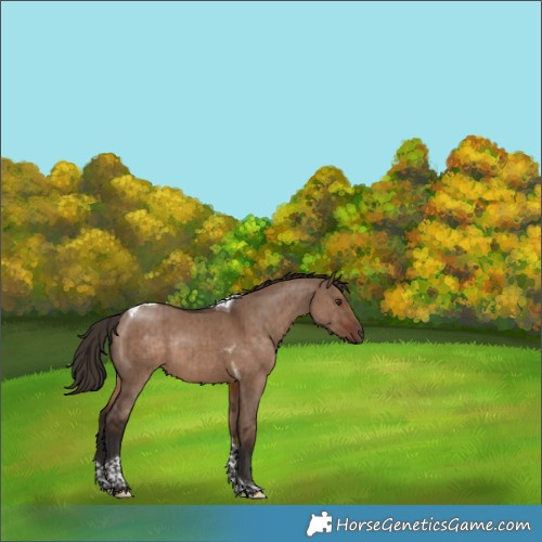 Horse Color:Liver Red Dun Tobiano Rabicano Brindle 