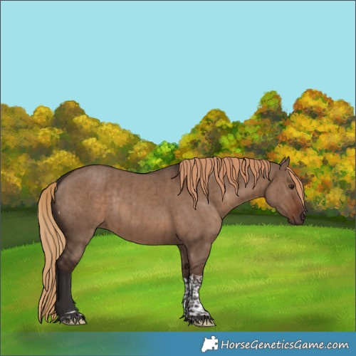 Horse Color:Liver Red Dun Tobiano Rabicano Brindle