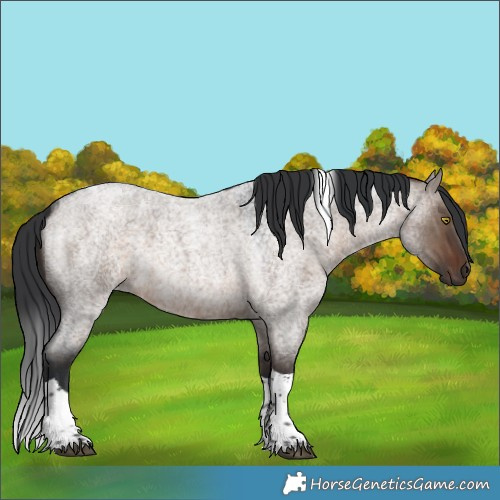 Horse Color:Brown Roan Dun Tobiano 