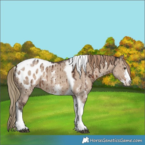 Horse Color:Liver Red Dun Sabino Tobiano Blanket Brindle 