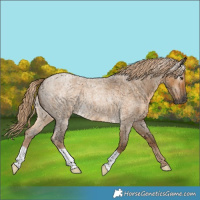 Horse Color:Gray Chocolate Palomino Roan Dun