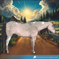 Horse Color:White Spotted Brown Ice Dun 