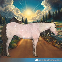 Horse Color:White Spotted Buckskin Ice Dun