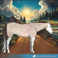 Horse Color:Buckskin Ice Dun Splash