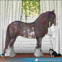 Horse Color:Nacre Chocolate Brown Ice Sabino Rabicano 