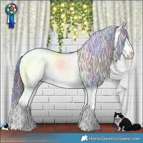 Horse Color:Nacre White Spotted Black Chinchilla Sabino Rabicano 