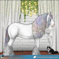 Horse Color:Nacre White Spotted Black Chinchilla Sabino Rabicano