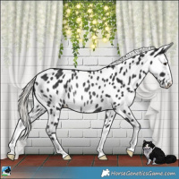 Horse Color:Liver Chestnut Mushroom Appaloosa Rabicano 