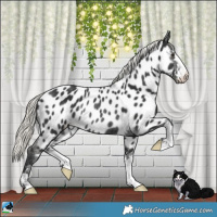 Horse Color:Liver Chestnut Mushroom Appaloosa Rabicano