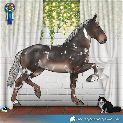 Horse Color:White Spotted Liver Chestnut Mushroom Rabicano