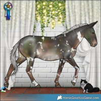 Horse Color:White Spotted Liver Chestnut Mushroom Rabicano 