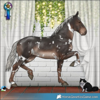 Horse Color:White Spotted Liver Chestnut Mushroom Rabicano