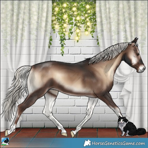 Horse Color:Liver Red Onyx Mushroom