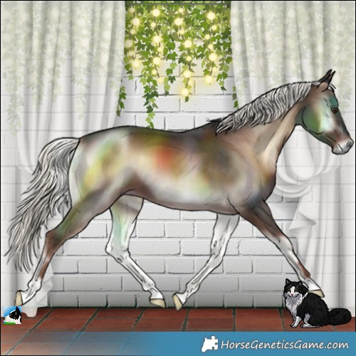 Horse Color:Liver Red Onyx Mushroom 