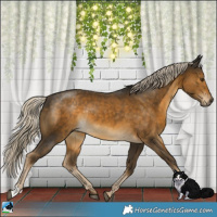 Horse Color:Chocolate Palomino Mushroom Rabicano 
