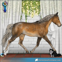 Horse Color:Chocolate Palomino Mushroom Rabicano