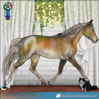 Horse Color:Chocolate Palomino Mushroom Rabicano 