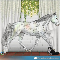 Horse Color:White Spotted Liver Chestnut Mushroom Leopard Rabicano