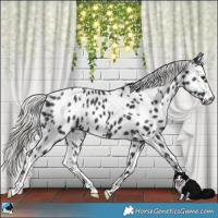 Horse Color:White Spotted Liver Chestnut Mushroom Appaloosa Rabicano