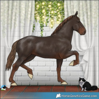 Horse Color:Liver Chestnut Rabicano 