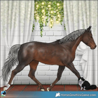 Horse Color:Liver Chestnut Mushroom 