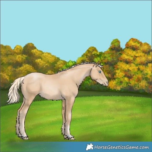 Horse Color:Palomino Pearl 