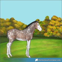 Horse Color:Bay Ice Splash Varnish Rabicano 