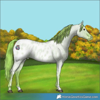 Horse Color:Watercolor Liver Red Dun Ice Roan Near Leopard 