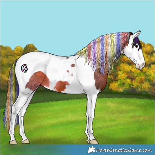 Horse Color:Painted Bay Splash Tobiano 