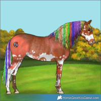 Horse Color:Painted Silver Bay Splash Rabicano 
